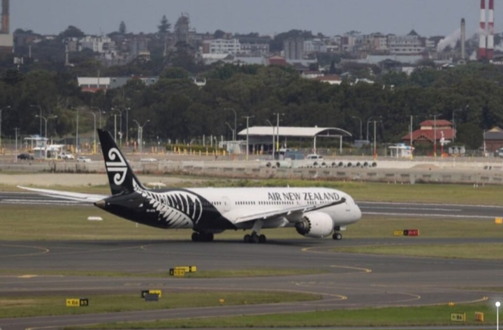 Снимка л: XELK Media