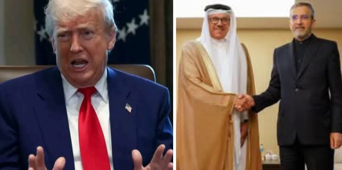 Снимка: Кулаж