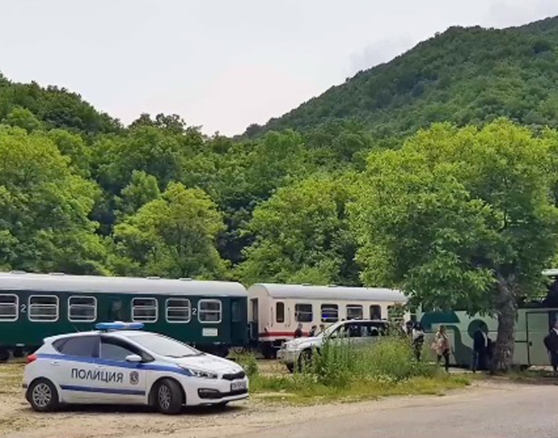 Тя и делегация от дипломати били принудени да слязат на гара Цепина